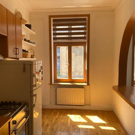 Rio Old Town 公寓 塞拉耶佛